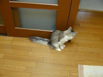 �Υ륦��������� �ե��쥹�� ����å�