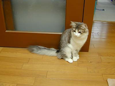�Υ륦��������� �ե��쥹�� ����å�