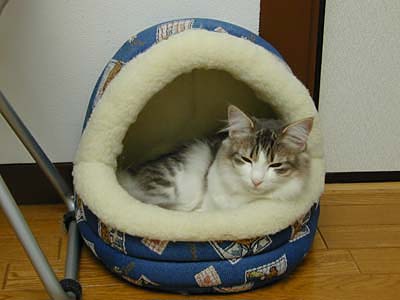 �Υ륦��������� �ե��쥹�� ����å�