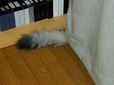 �Υ륦��������� �ե��쥹�� ����å�
