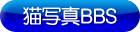 猫写真BBS/Cat Photo BBS